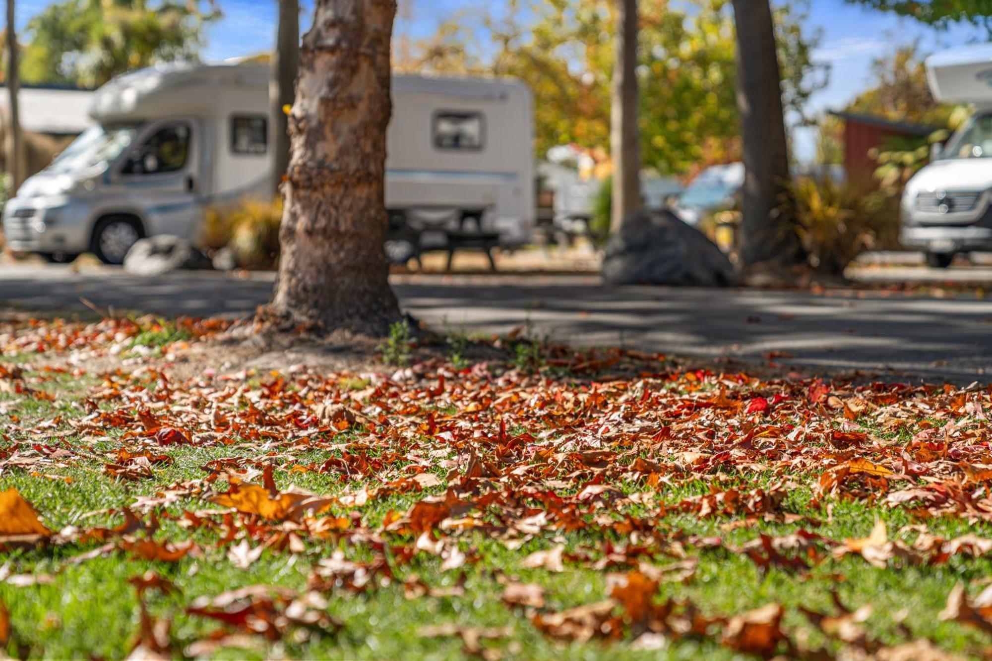 Tasman Holiday Parks - Christchurch Kültér fotó Autumn leaves on the ground